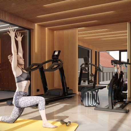 Design and manufacture of sauna wellness, private exclusive gym 