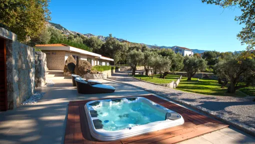 private wellness jakuzzi private wellness jakuzzi