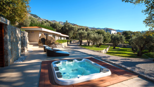 private wellness jakuzzi